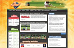 Baseball Victoria Summer League Screenshot 1