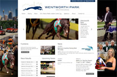 Wentworth Park Greyhounds